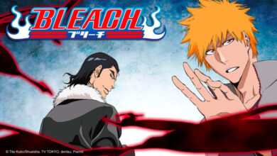 Bleach Season 2 Hindi Dubbed Episodes Download